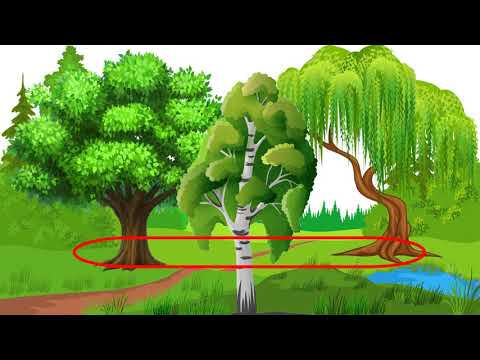 Видео: Дерева Кущі Квіти Рослини Природа