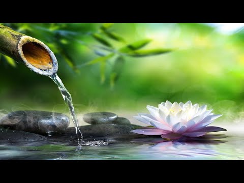 Видео: Расслабляющая музыка и медитация на звуки воды - Исцеление бамбуковым фонтаном - Музыка для сна