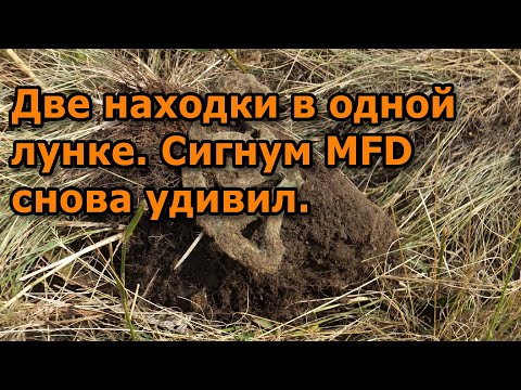 Видео: Две находки в одной лунке. Сигнум MFD снова удивил.