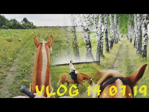 Видео: Невообразимые красоты на кордео | Обзериваем новые поля. VLOG 14.07.19