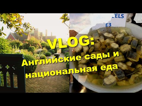 Видео: Кто в Англии ест угрей в желе и прогулка по весенним английским садам.