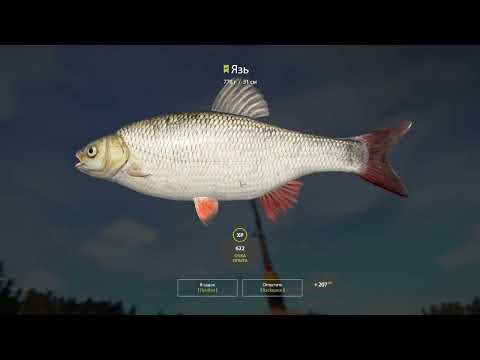 Видео: РР4: глянул классическую точку Куори...