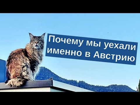Видео: Почему мы уехали именно в Австрию?