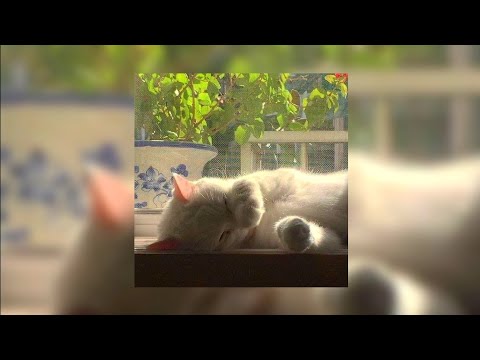 Видео: сквозь мои пальцы тянется лето // speed up ‧₊˚ ♡