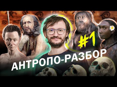 Видео: Реконструкции предков. Станислав Дробышевский. #Антропо_разбор