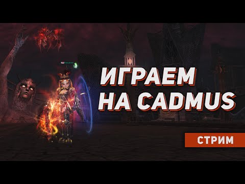 Видео: САМУРАЙ на Мейне 12 ноября + PvE среда на Cadmus. Розыгрыши и ответы на вопросы. Lineage 2 руофф