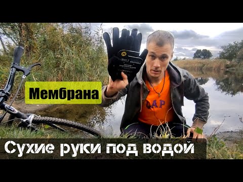 Видео: Перчатки Водонепроницаемые Dexshell StretchFit Gloves (TEST)