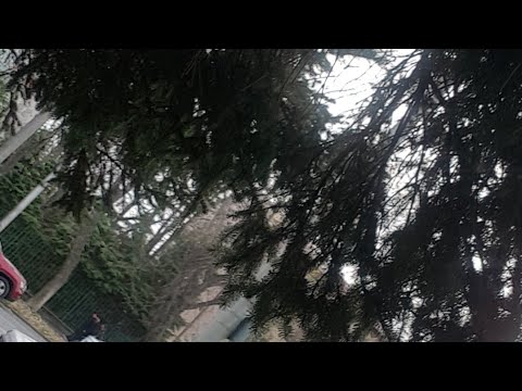 Видео: ПОБОЯЛАСЬ ЗАЙТИ   НА КЛАДБИЩЕ😱😱