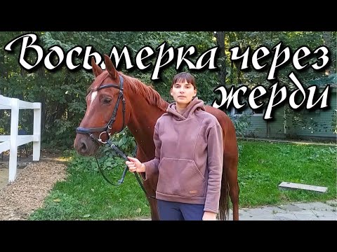 Видео: Упражнение "Восьмерка через жерди"