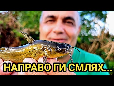 Видео: Най - страхотния риболов през това лято! Направо им разказах играта с бамбуковата пръчка! Супер кеф!