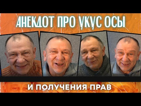 Видео: Анекдот про ононизм буратино и сообщения от бывшей...