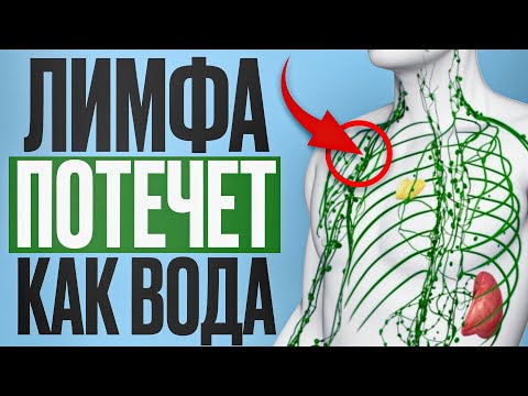 Видео: Ты ОТЕКАЕШЬ каждый день из-за ЭТОГО! / Как разогнать лимфу и убрать 5 лишних кг