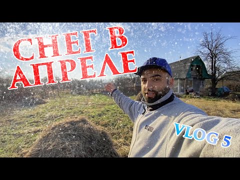 Видео: #ДАЧА 3 | Мы купили дачу! №3. Дача, уборка территории. Снег в апреле! #семья #весна #дача