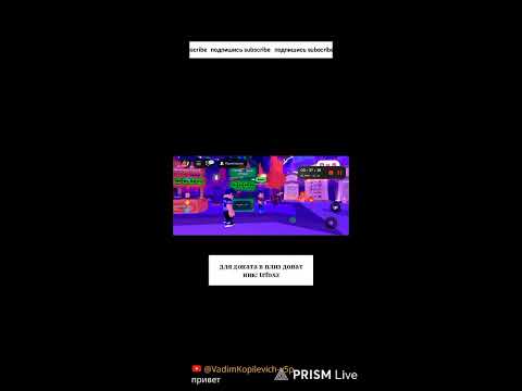 Видео: Прямая трансляция мастер dog