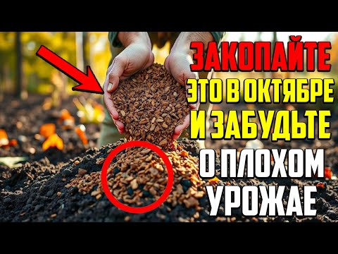 Видео: Сделайте Это До Заморозков, И Урожай Вас Шокирует!