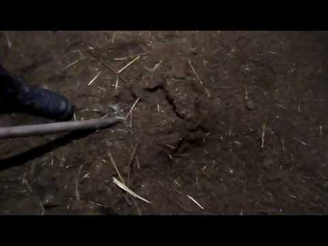 Видео: Подстилка с бактериями, прошло 3 месяца.