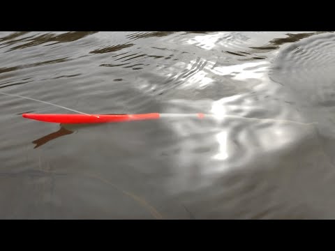 Видео: КАРАСИ выкладывают ПОПЛАВКИ в затопленном кусте!! Рыбалка весной на удочки