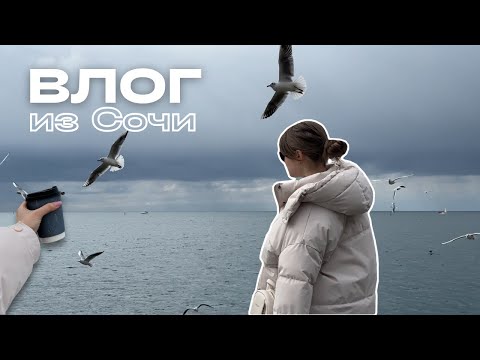 Видео: Влог из СОЧИ: как я сбежала из зимнего ПИТЕРА