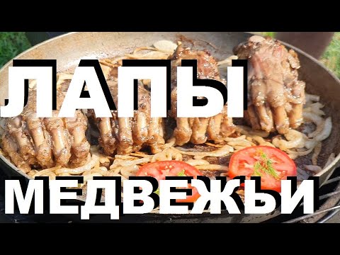 Видео: МЕДВЕЖЬИ ЛАПЫ НА ДРОВАХ В КАЗАНЕ С ЛУКОМ И ТОМАТАМИ РЕЦЕПТЫ СЮФ ОХОТА НА МЕДВЕДЯ