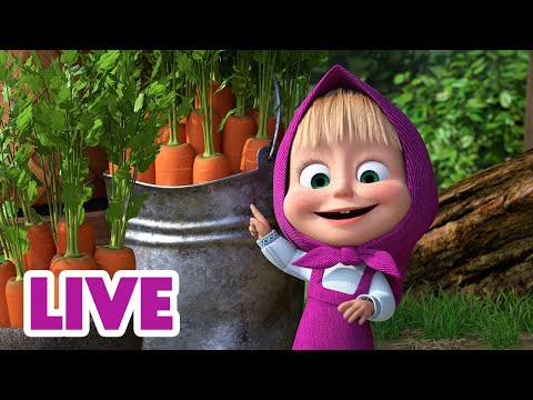 Видео: 🔴 ПРЯМОЙ ЭФИР! LIVE Маша и Медведь 👱‍♀️🐻 Кто живёт за деревом? Лесные тайны... 👀🦊❓