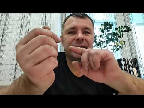 Видео: Ответы на некоторые вопросы 🤝