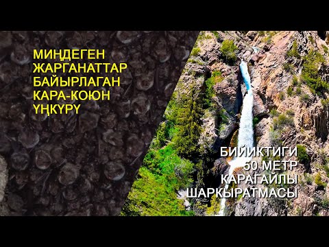 Видео: Миңдеген жарганаттар байырлаган Кара-Коюн үңкүрү