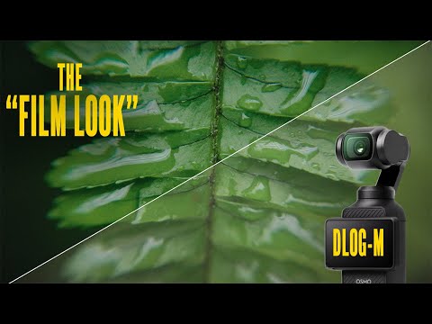 Видео: Как я ЛЕГКО делаю цветокоррекцию видеоматериалов, снятых на DJI OSMO Pocket 3 (D-LOG)