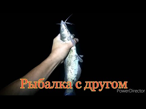 Видео: Рыбалка с другом!