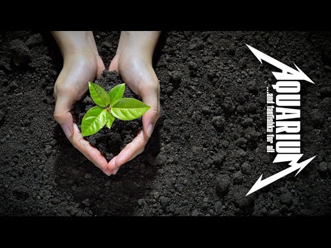 Видео: Питательные грунты: подложки и сойлы для аквариума