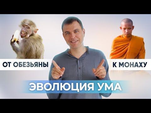 Видео: Как медитация влияет на человека? Как медитация меняет жизнь?