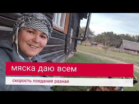 Видео: ВОТ ТАК И ЖИВЁМ 