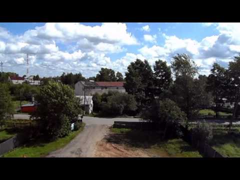 Видео: Мураши радуги из речки