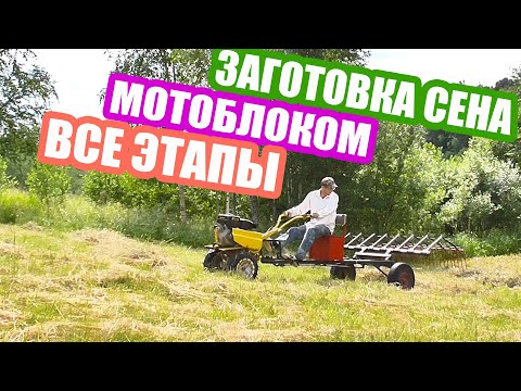 Видео: Это круто! Заготовка сена мотоблоком! Мои железные помощники!