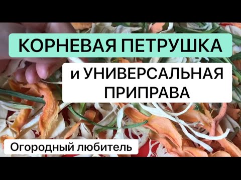 Видео: КОРНЕВАЯ ПЕТРУШКА // УНИВЕРСАЛЬНАЯ ПРИПРАВА
