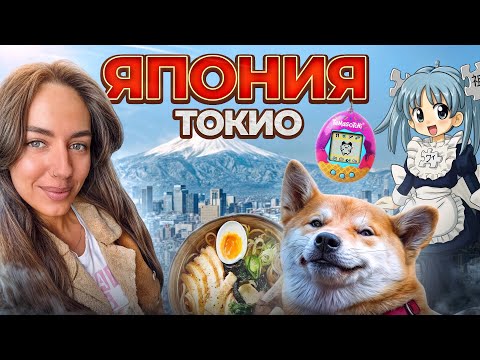 Видео: Япония\Токио: цены, жильё, еда и интересные локации. часть 2