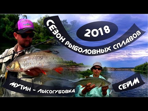 Видео: СЕЙМ. МУТИН - ЛЫСОГУБОВКА. РЫБАЛКА И СПЛАВ. СЕЗОН РЫБОЛОВНЫХ СПЛАВОВ 2018. ИЮНЬ. ЧАСТЬ 2.