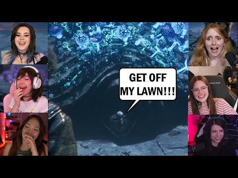 Видео: Экспедиция 33 — Реакция стримеров на Франсуа