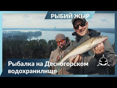 Видео: Весенняя рыбалка на Десногорском водохранилище. Рыбий жЫр 6 сезон