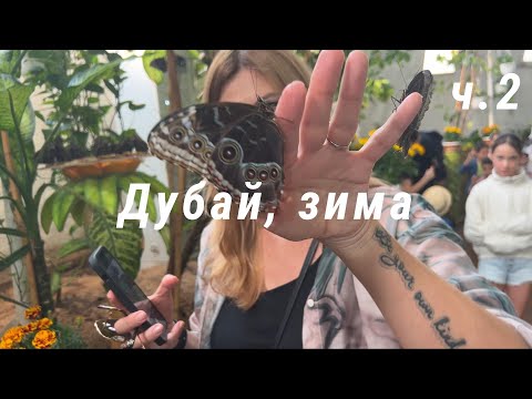 Видео: Дубай (ОАЭ), зима, ч.2