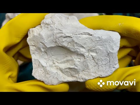 Видео: Чистка///Астана Идеал