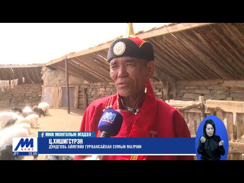 Видео: Дундговь аймгийн Гурвансайхан сумын малчин Ц.Хишигсүрэн "Алтан унаганы эзэн" боллоо /2020.05.11/