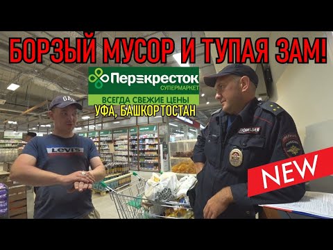 Видео: БОРЗЫЙ МУСОР И ТУПАЯ ЗАМША!!!