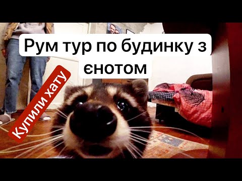 Видео: РУМ ТУР по будинку з єнотом. Показуємо всі закуточки