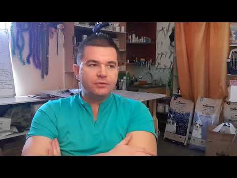 Видео: Безопасный способ социализации щенка