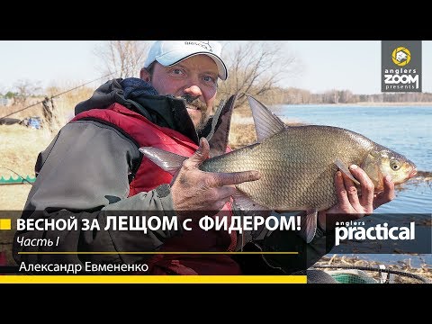 Видео: Весной за ЛЕЩОМ с ФИДЕРОМ! Ловля на водохранилище. Часть 1. Александр Евмененко. Anglers Practical