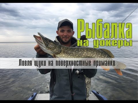 Видео: Ловля щуки на поверхностные приманки. Рыбалка на уокеры