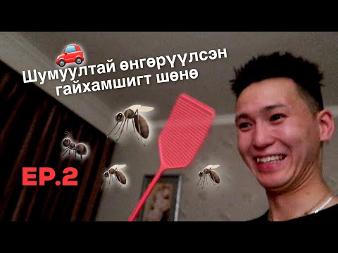 Видео: EP.2 | ДАРХАНЫ ШУМУУЛТАЙ ӨНГӨРҮҮЛСЭН ГАЙХАМШИГТ ШӨНӨ.