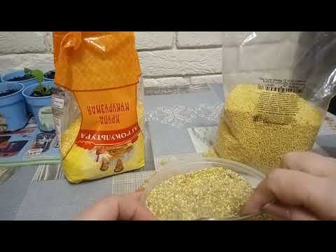 Видео: Чем кормить  суточных цыплят?Выход всегда есть.