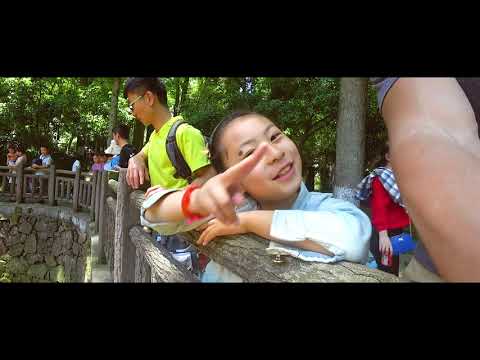 Видео: Hangzhou zoo. Panda. Зоопарк в Ханчжоу, Китай.