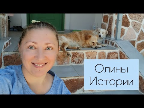 Видео: Олины Истории 🏜 Влог #276